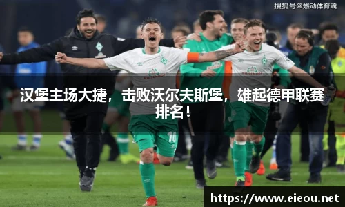汉堡主场大捷，击败沃尔夫斯堡，雄起德甲联赛排名！