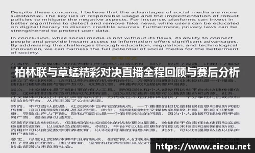 柏林联与草蜢精彩对决直播全程回顾与赛后分析